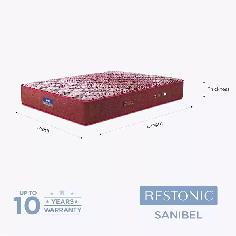 Restonic - Sanibel Normal Top Bonnell Inner Spring - 72 x 30 x 6 inch (Maroon)